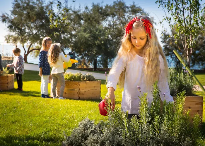 Maistra Select Family Amarin