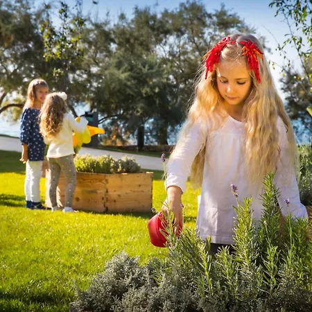 Maistra Select Family Amarin